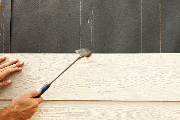 Best Siding Removal and Disposal  in Summer Set, MO